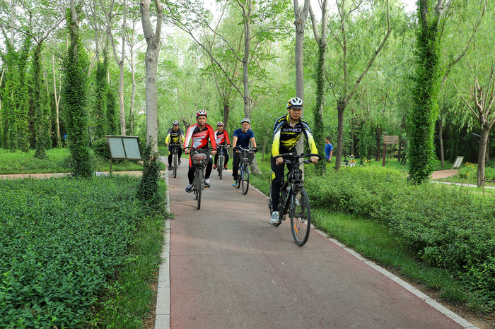 米兰体育中国官网-大型生态骑行挑战，绿色出行的运动倡导