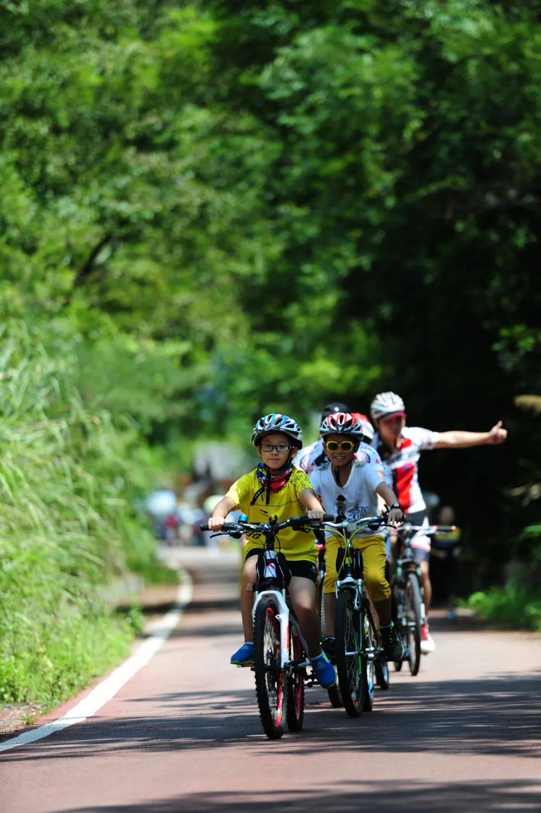 大型生态骑行挑战,绿色出行的运动倡导 大型生态骑行挑战,绿色出行的运动倡导