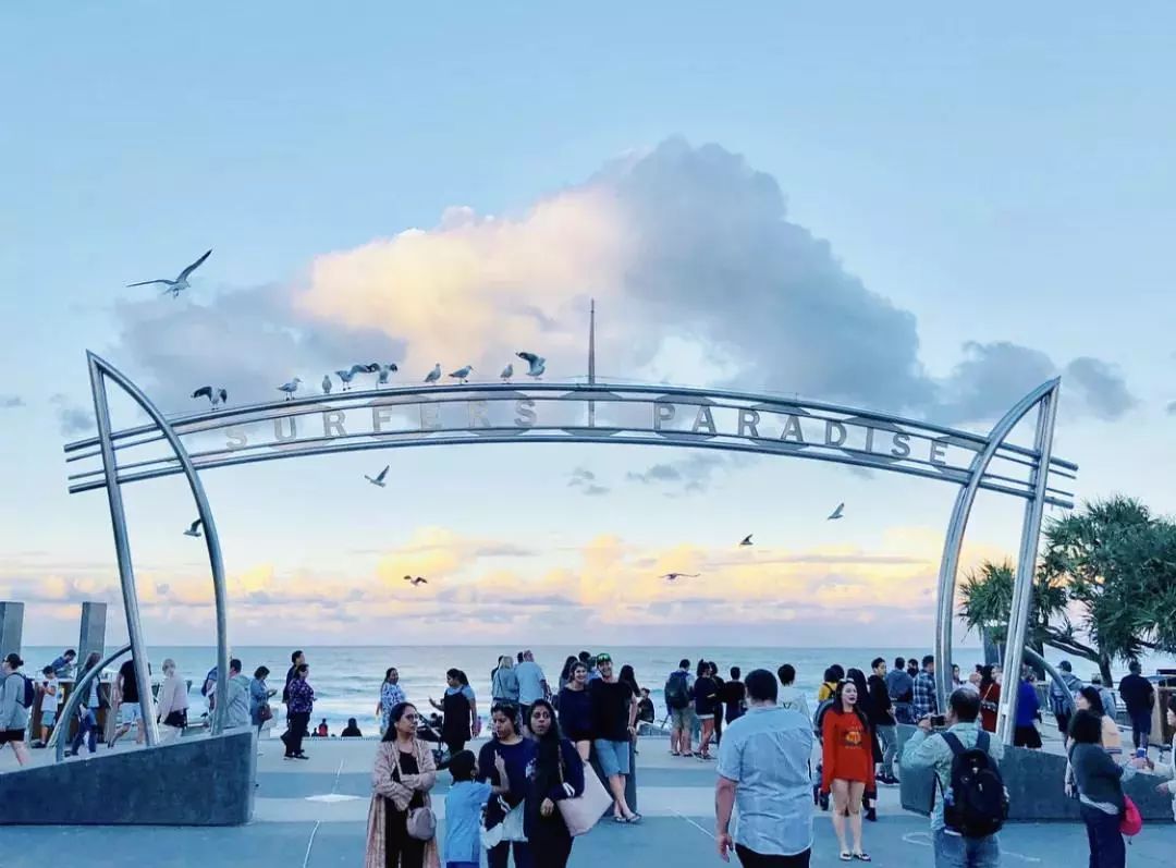 米兰体育app入口-包含大型海岸线冲浪表演，浪花间的青春岁月的词条