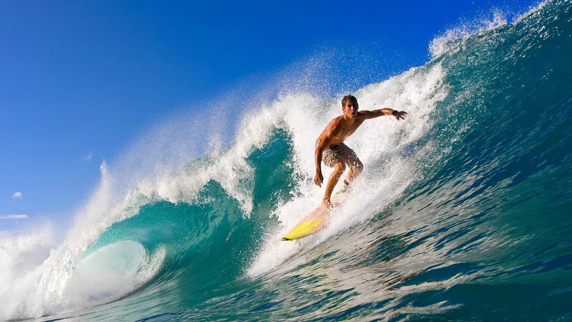 米兰体育APP网页版-世界陆上短跑大奖赛谢震业勇夺银牌，陆上短跑冠军