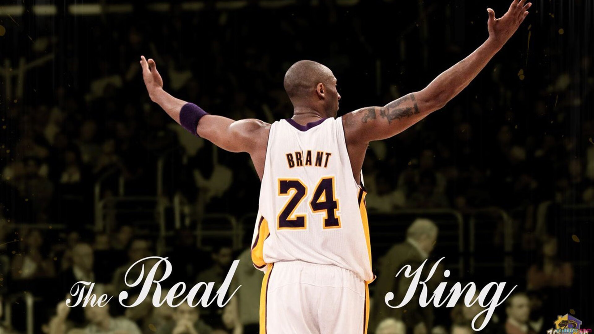 2024年德国队的精彩表现:从逆境到顶峰的蜕变,2024德国欧洲杯赛程